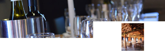 banner banner